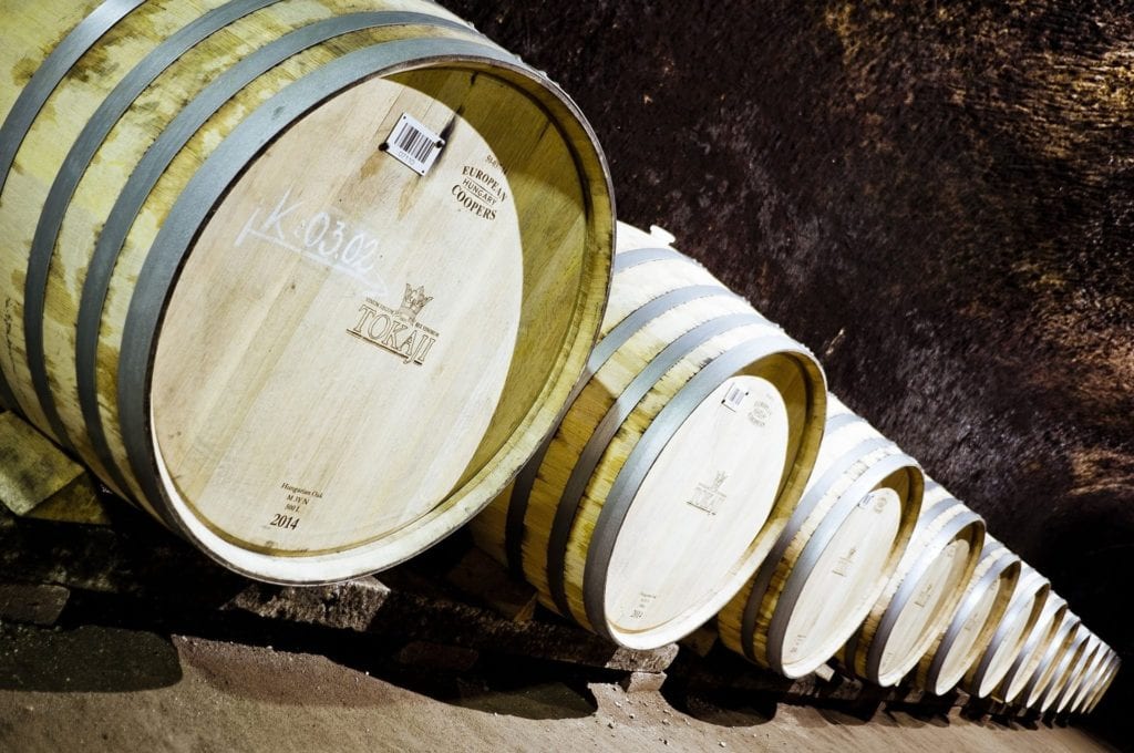 Tokaj, fot. Zoltan Szarvas Pixabay