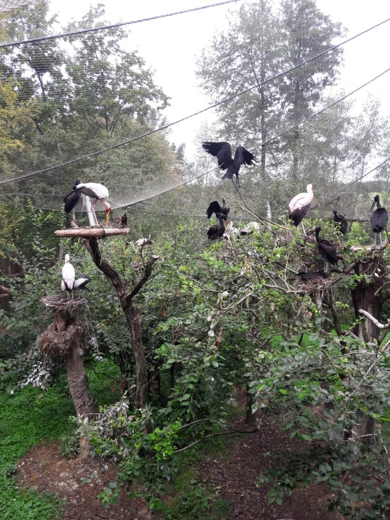 ZOO w Zlínie, fot. archiwum własne