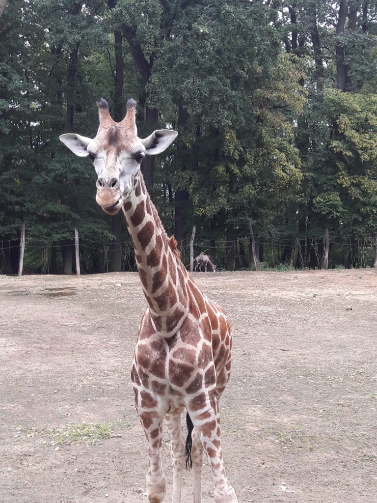 ZOO w Zlínie, fot. archiwum własne