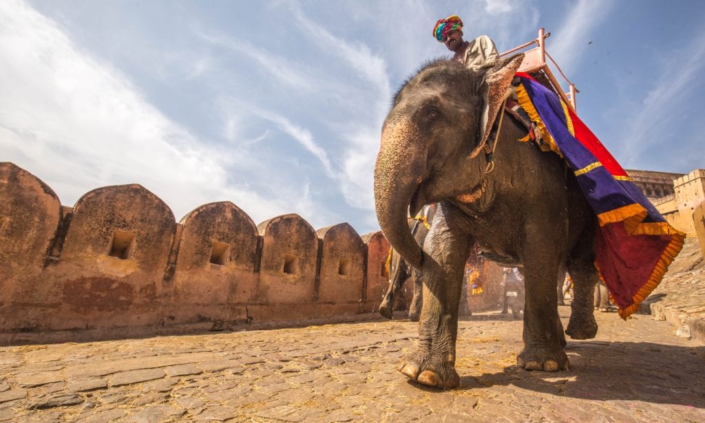 Fort Amber w Jaipur, India