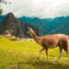 Machu Picchu, Peru