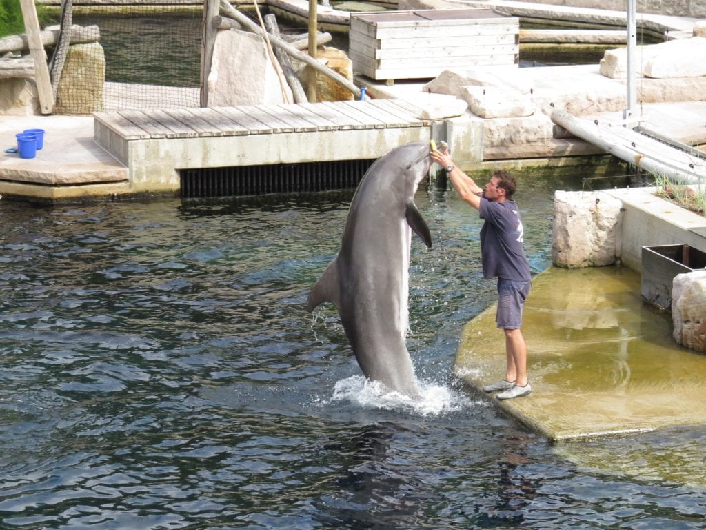 ZOO w Norymberdze otworzyli w 1912 roku, 