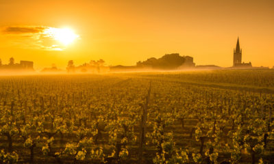 Saint-Émilion niedaleko Bordeaux Francja