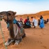Wycieczka na wielbłądach po pustyni Erg Chebbi, Maroko