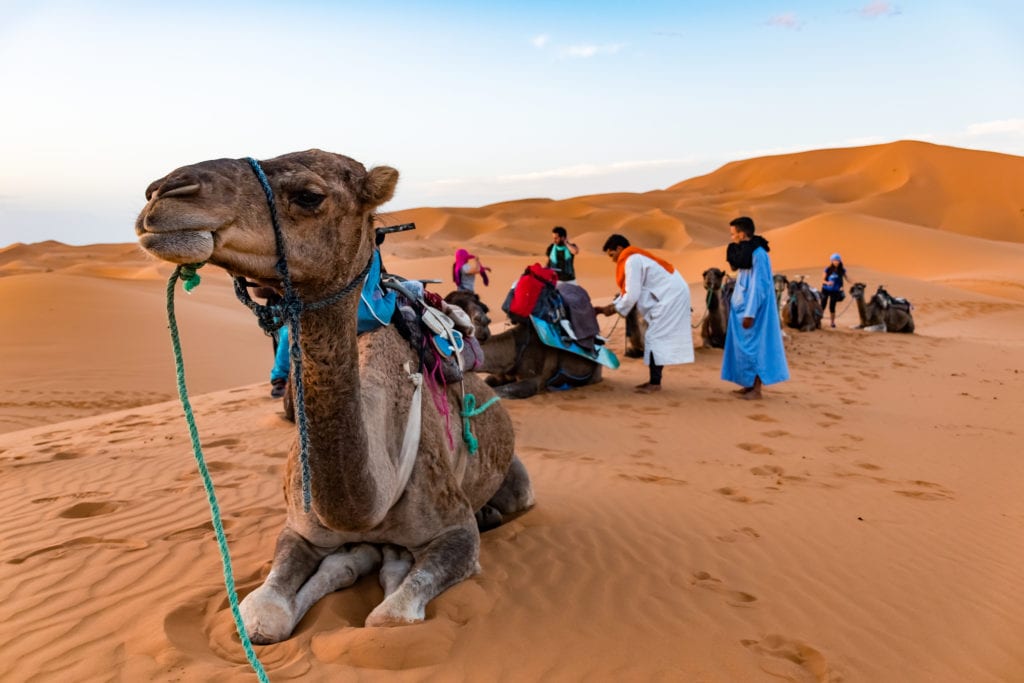 Wycieczka na wielbłądach po pustyni Erg Chebbi, Maroko