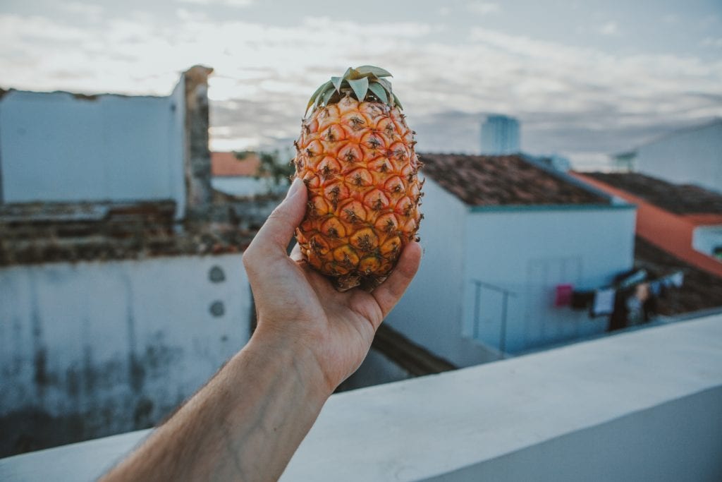 Na Azorach uprawia się ananasy, fot. Sandro Kradolfer Unsplash