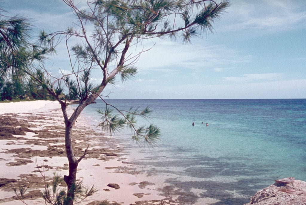 wyspa Santa Carolina mozambik