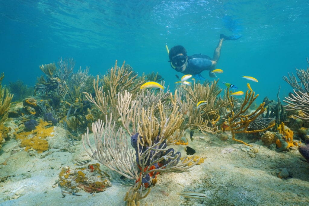 Snorkeling w Panamie