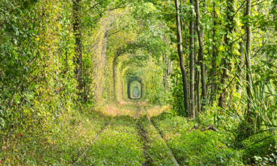 Tunel Miłości, Klewań Ukraina
