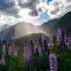 Milford Sound, Nowa Zelandia,