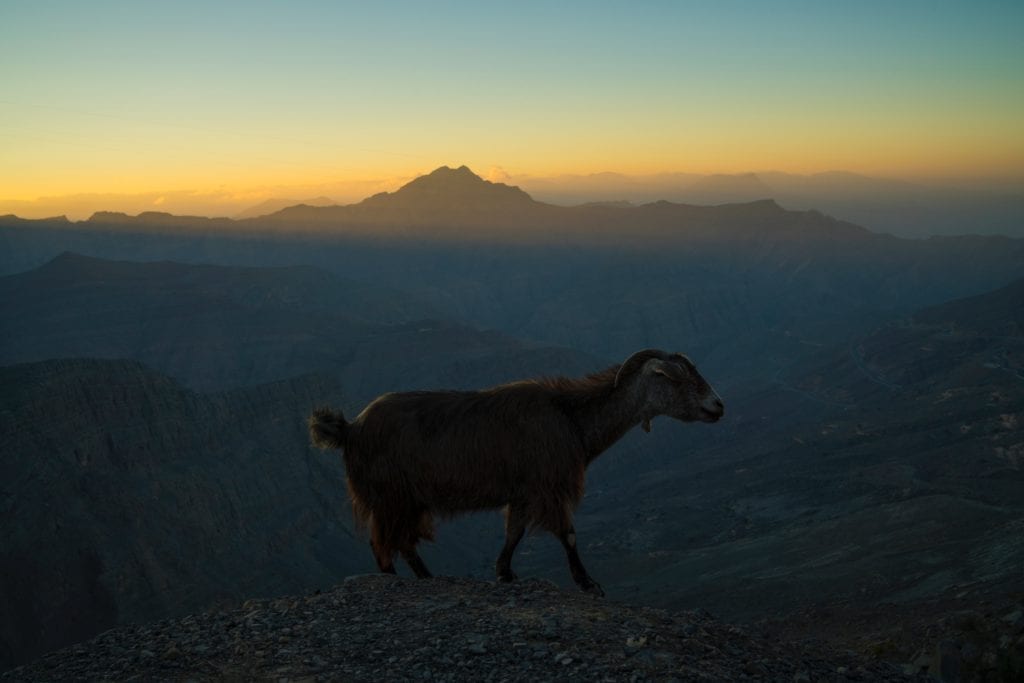 Okolice Ras Al Khaimah, ZEA
