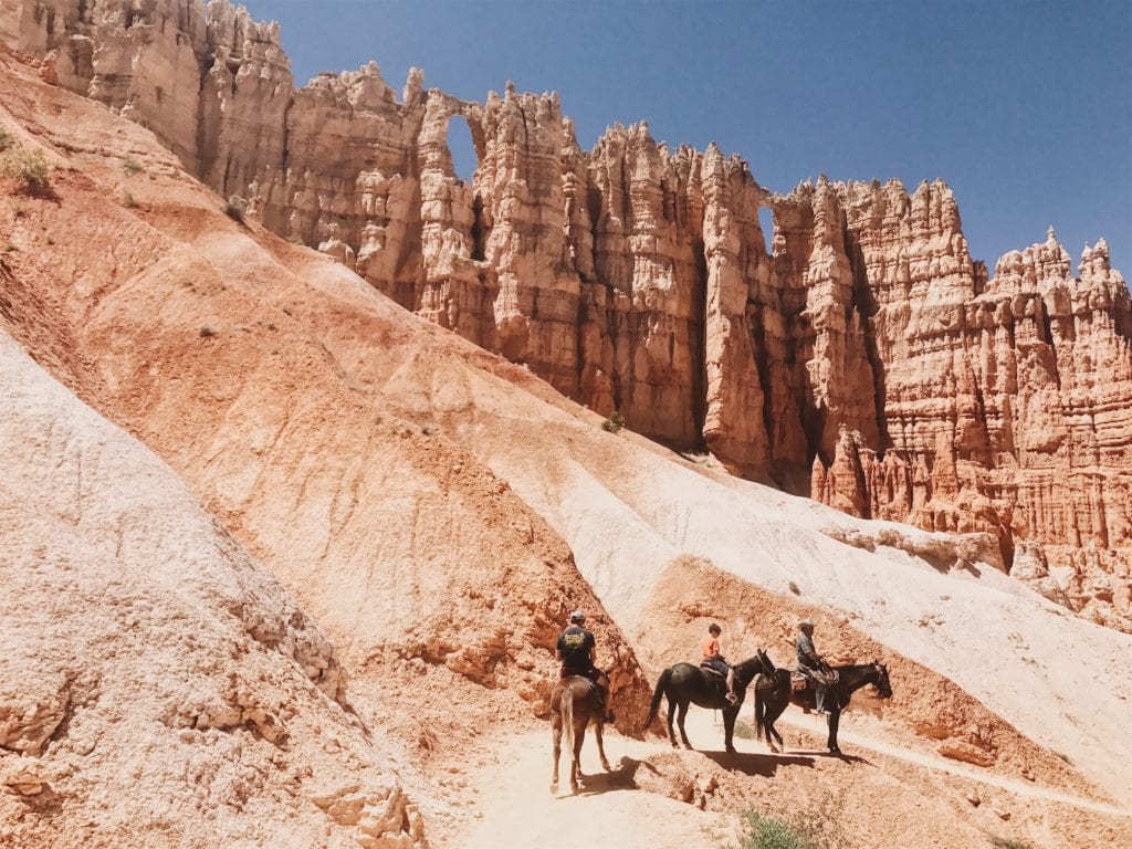 Park Narodowy Bryce Canyon można zwiedzać na końskim grzbiecie,
