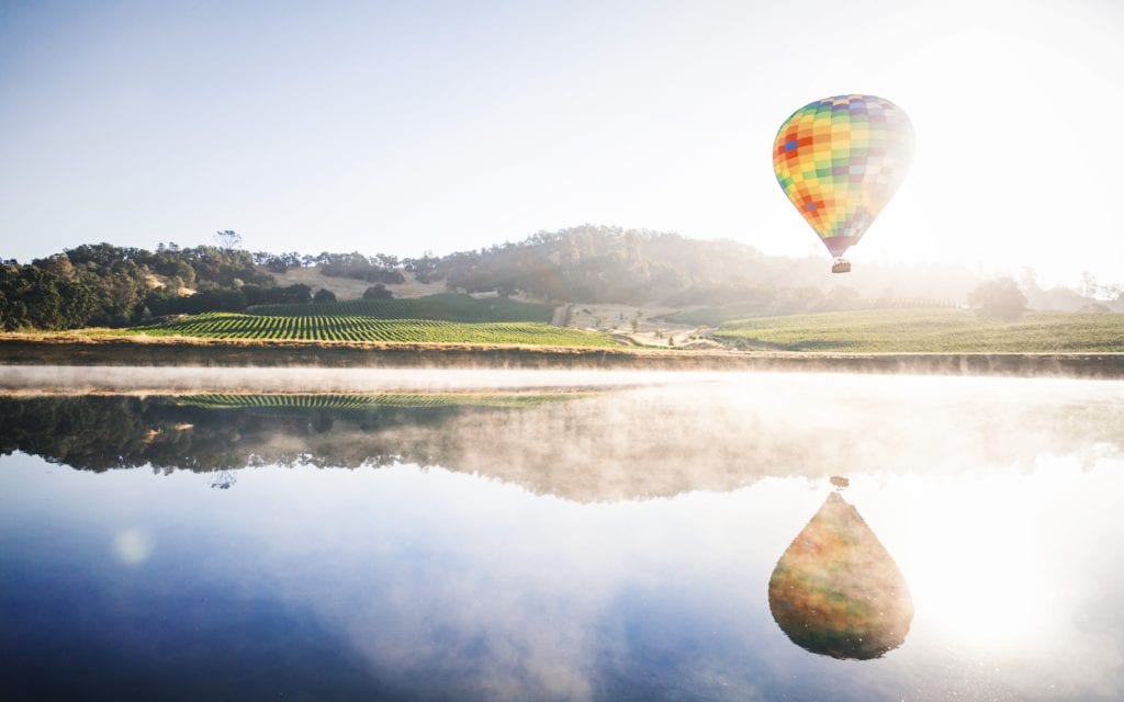 Winnice w Napa Valley, Kalifornia USA