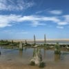 Rezerwat przyrody Ainsdale,