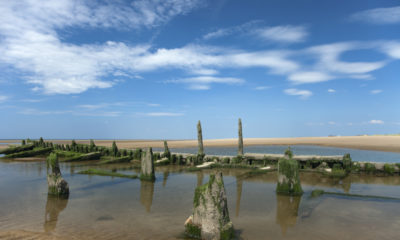 Rezerwat przyrody Ainsdale,