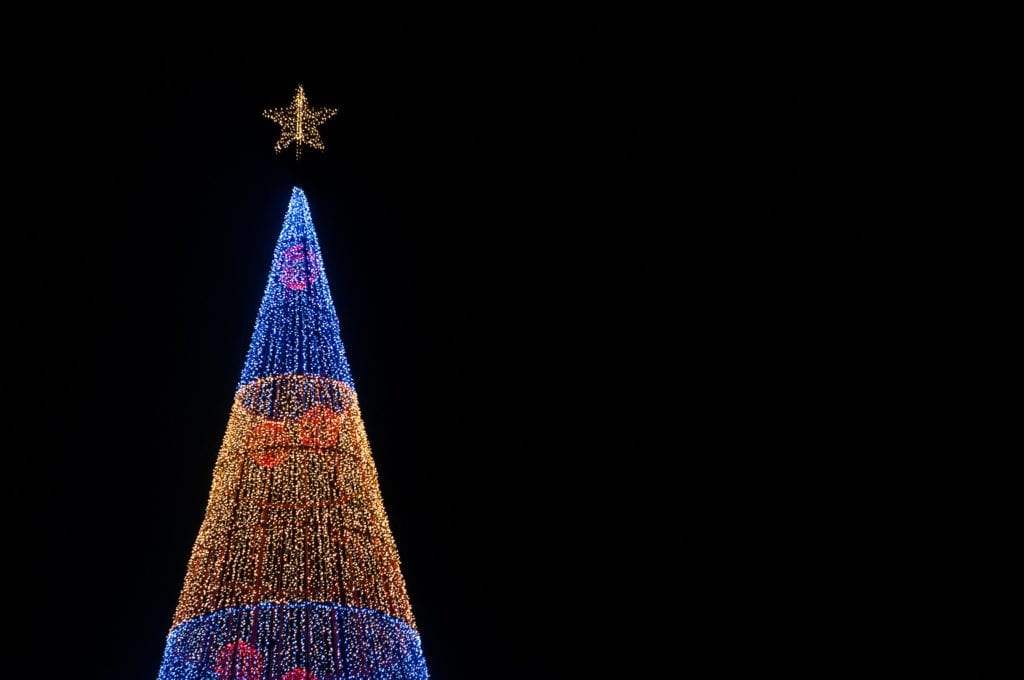 Choinka pojawia się również na portugalskich wyspach, np. Maderzę