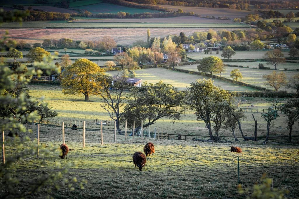 Malownicze krajobrazy Yorkshire można podziwiać na dwóch kółkach, 