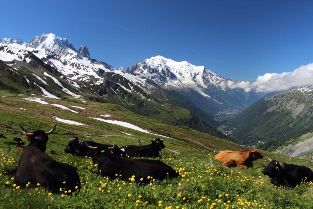 Okolice Mont Blanc, 