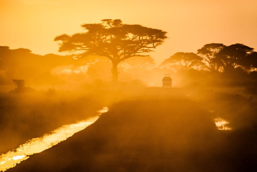 Safari w Kenii
