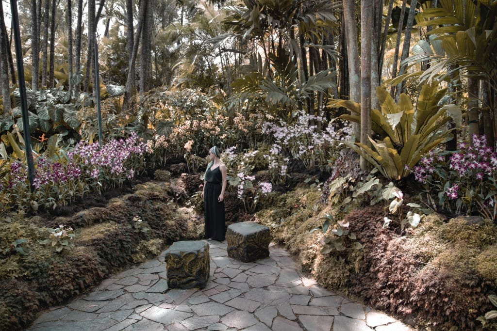 Ogród Storczyków w Singapurskim Ogrodzie Botanicznym