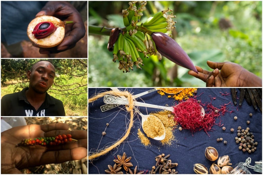 Spice Tour na Zanzibarze, fot. redakcja