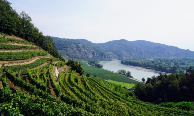 Dolina Wachau, austria