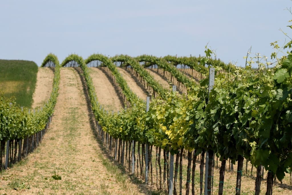 Weinviertel, Austria