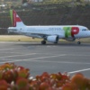 TAP Portugal, fot. Artur Filipe Santos Rodrigues Pixabay