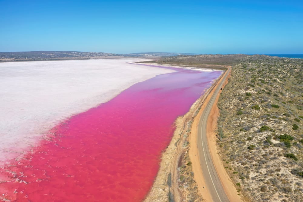 Laguna Hutt, Australia