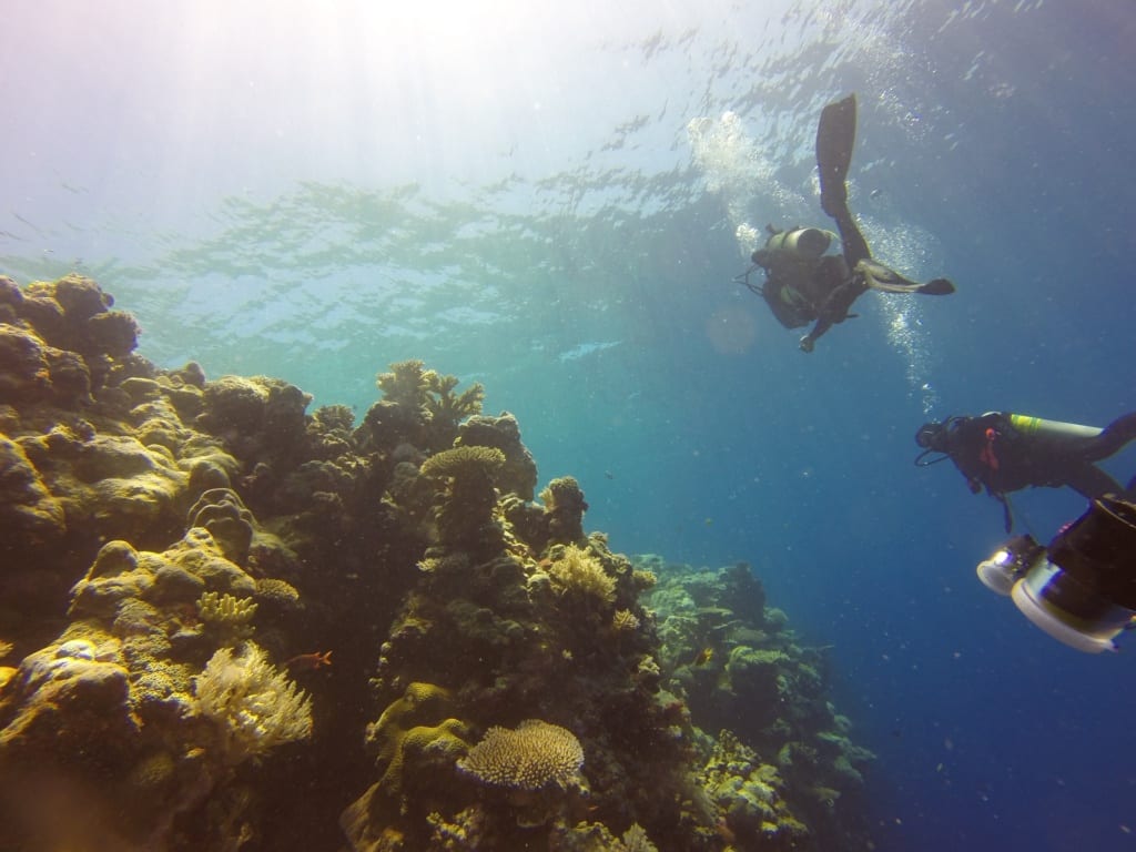 Nukrowanie na Palau,