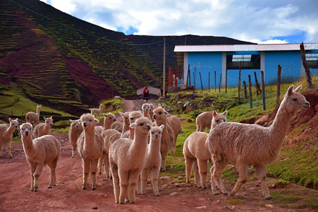 Cusco,Peru