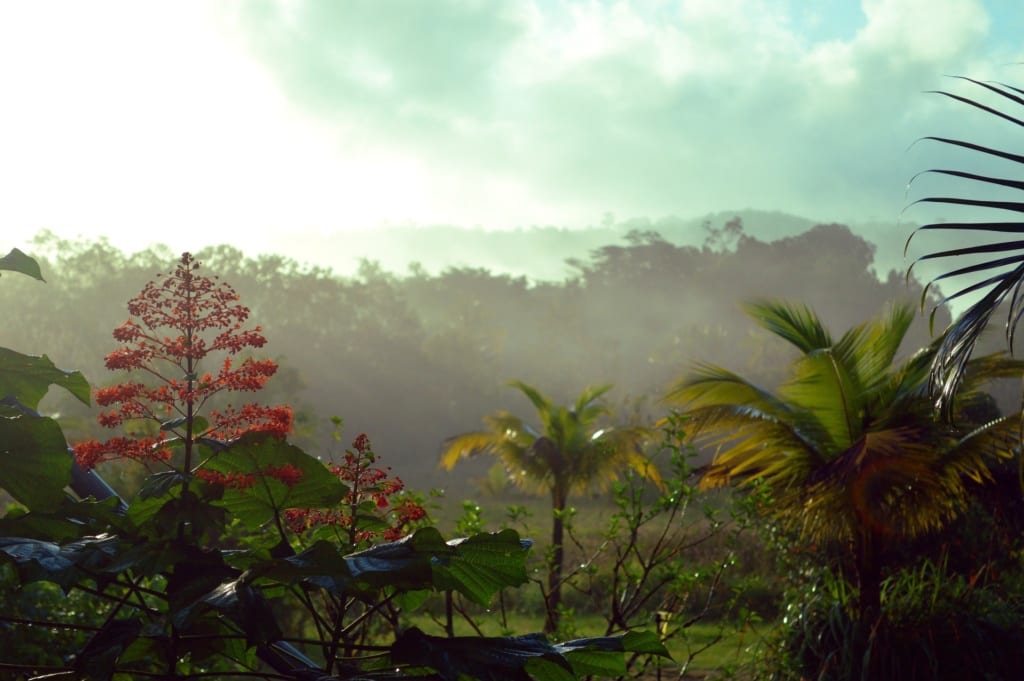 Guajana, 
