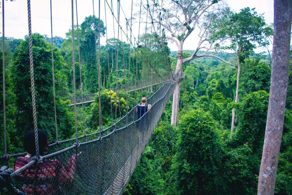 Kakum Canopy, Cape Coast, Ghana, 