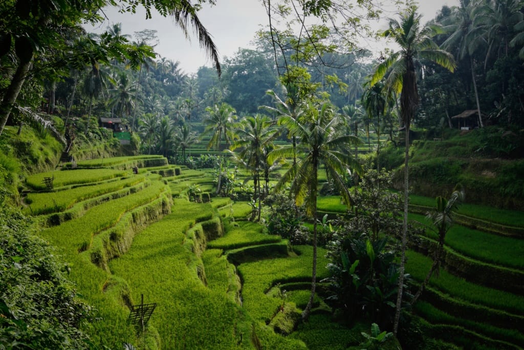 Tegallalang, Bali