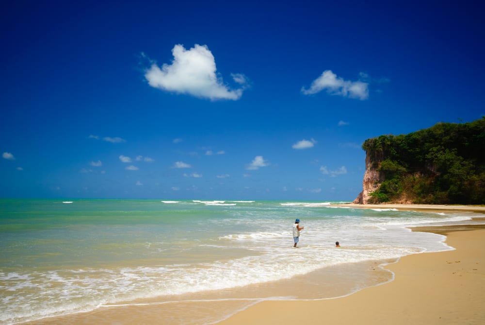 Baia dos Golfinhos, Brazylia, fot. Eric Gevaert Shutterstock