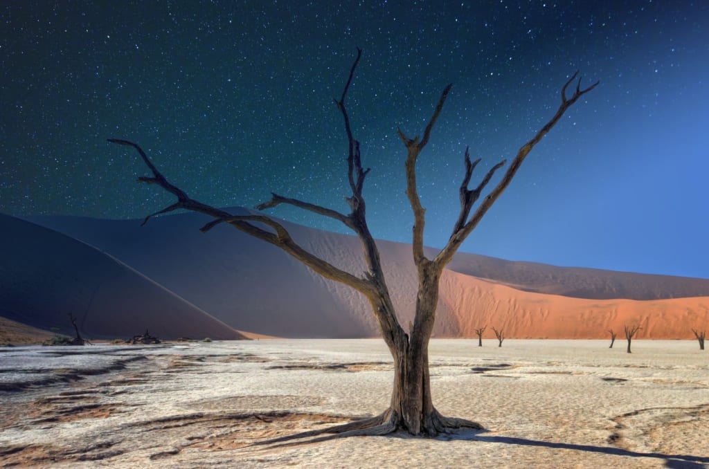Deadvlei, Namibia