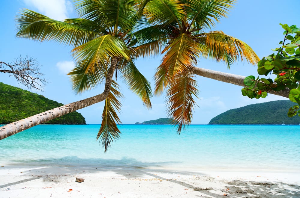 Maho Bay Beach, Wyspy Dziewicze Stanów Zjednoczonych, fot. BlueOrange Studio Shutterstock