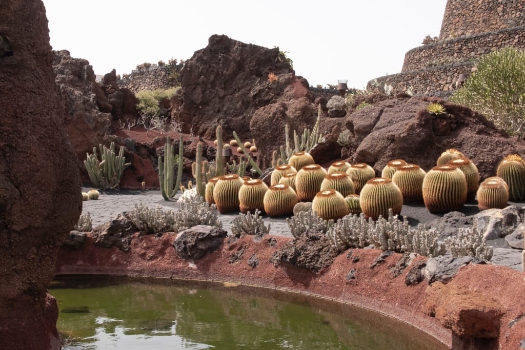 Ogród Kaktusów na Lanzarote