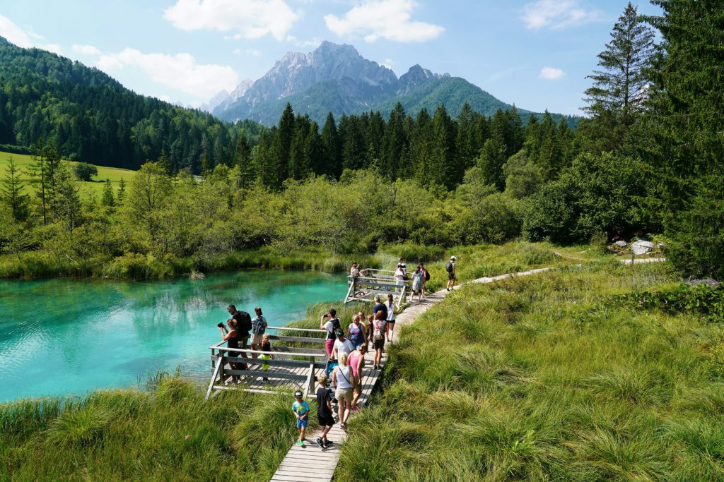 Zelenci, Kranjska Gora, fot. Simon Hermans Unsplash