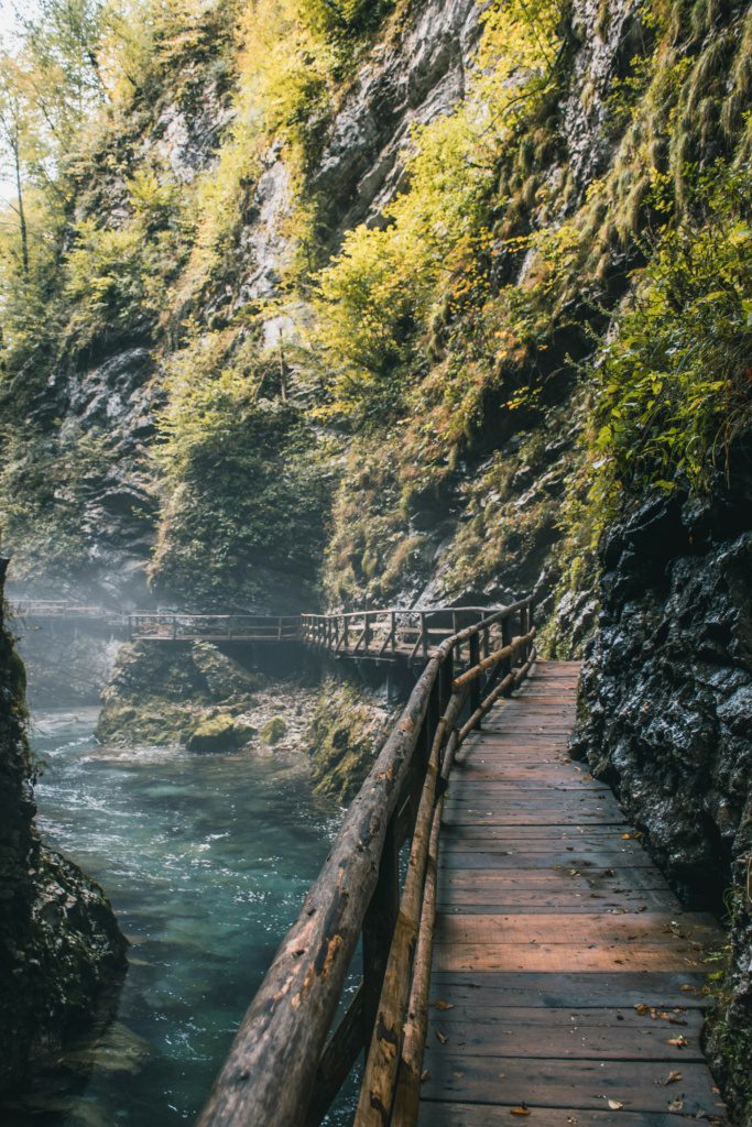 Vintgar Gorge, fot. Žan Janžekovič Unsplash